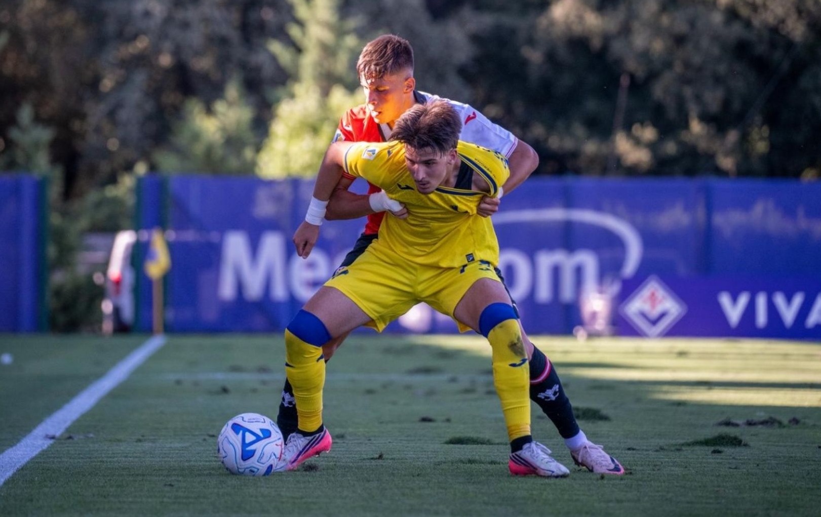 Primavera, formazioni ufficiali e streaming di Verona-Lecce